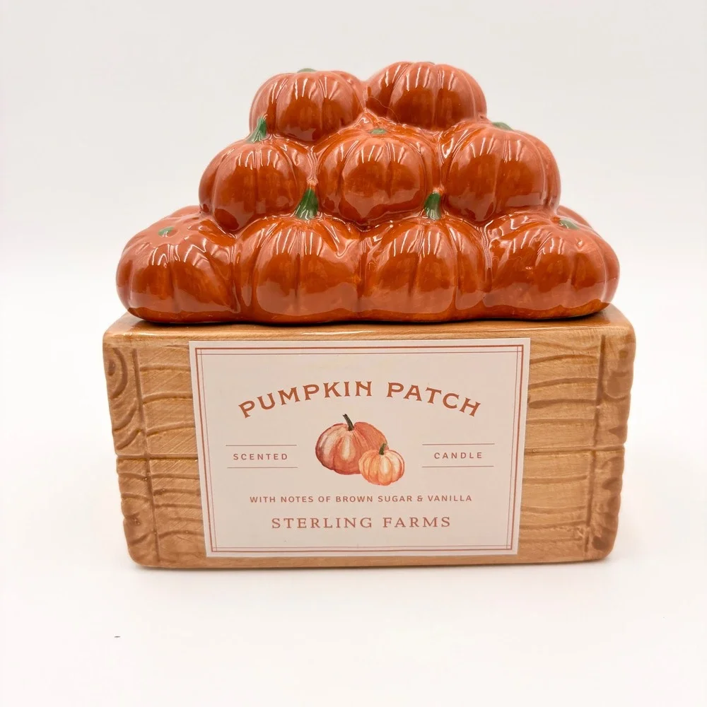 Sterling Farms Pumpkin Patch Scented 2 Wick Candle Ceramic Pumpkin Crate Jar